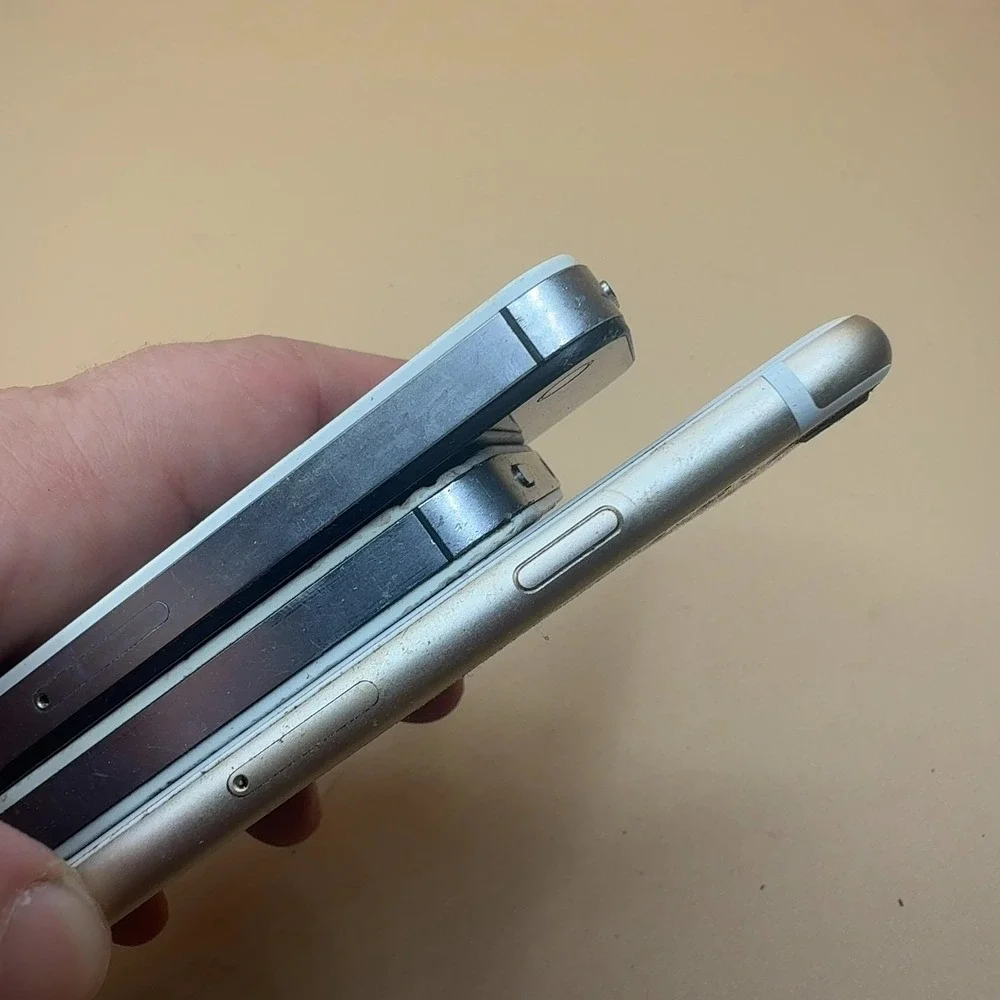Apple this lot